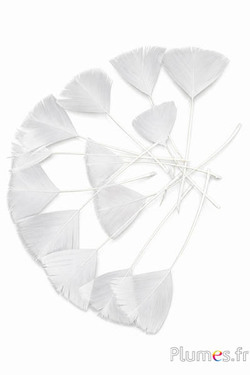 Verenblaadjes - 6-8 x 3-4 cm - wit